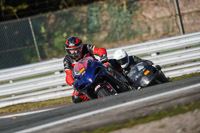 anglesey;brands-hatch;cadwell-park;croft;donington-park;enduro-digital-images;event-digital-images;eventdigitalimages;mallory;no-limits;oulton-park;peter-wileman-photography;racing-digital-images;silverstone;snetterton;trackday-digital-images;trackday-photos;vmcc-banbury-run;welsh-2-day-enduro